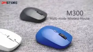 Rapoo M300