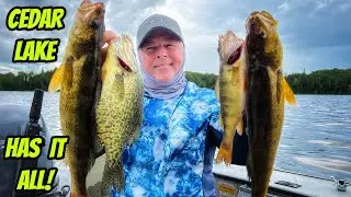 CEDAR LAKE HAS IT ALL- New season full episode!