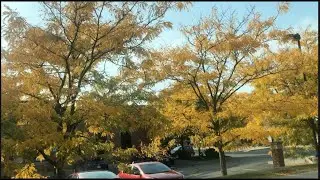 Dodge #4 State Park Tour - Michigan