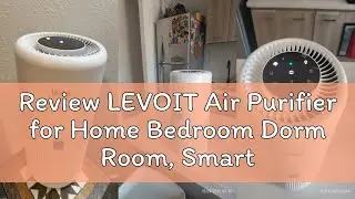 Review LEVOIT Air Purifier for Home Bedroom Dorm Room, Smart WiFi Alexa Control, AHAM VERIFIDE, 3-in