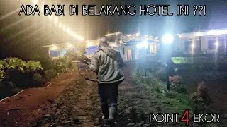 ADA BABI DI BELAKANG HOTEL INI?!! BERBURU POINT 4 EKOR!!