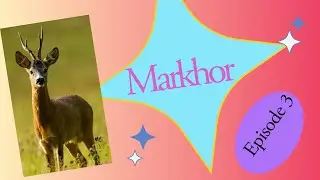 Markhor 3| moral stories for kids Urdu/hindhi