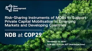 Risk-Sharing Instruments of MDBs to Support Private Capital Mobilisation in EMDCs