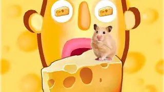 Cheese Loot...🧀🧀🧀 &mdash; Sandwich Runner, Walkthrough, Gameplay