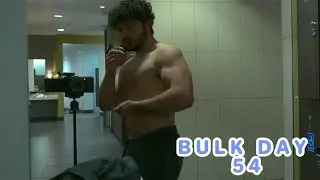 bulk day 54/arm day prs