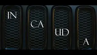 In cauda