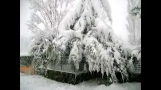Neve a San Vincenzo Valle Roveto