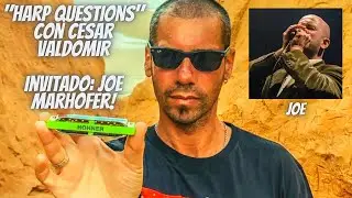 Harp Questions&rdquo;- 14/8/20 - Charlas con amigos y colegas - Inv.: Joe Marhofer