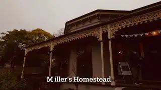 冬日绵雨🌧️探访Miller's  Homestead🏠
