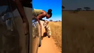 Animals rescue #ai #shorts