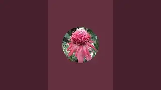 UK Immigration Law Geek is live Country market #gardencentre #plants #flowers