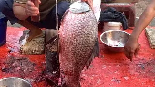 I never seen ll amazing big Katla fish cutting live skills by expert fish cutter in Fishmarket 