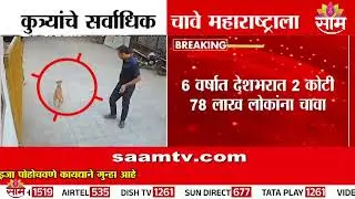कुत्र्यांचे सर्वाधिक चावे महाराष्ट्राला | Stray Dogs India