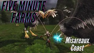 FFXI - Five Minute Gil Farm - Misareaux Coast