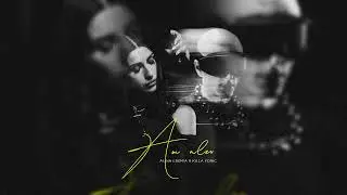 Alina Eremia x Killa Fonic - Am ales (SLOWED & REVERBED)
