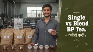 BP Tea Blending Process Full Explained | Brothers Tea House Siliguri #tea #darjeelingtea #ctc #teale