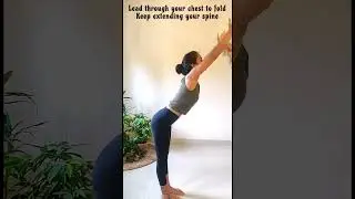 forward bend for beginner yoga? #forwardbend  #yoga, #yogapractice, #shorts, #beginneryoga  #asana