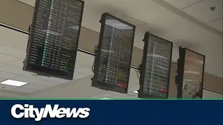 Calgary-based airlines add new international flights