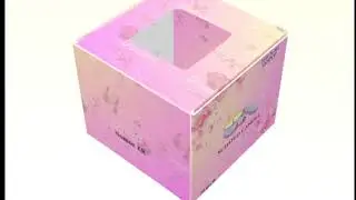 Design Packaging of Scendle