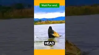 &ldquo;Crocodile Attack! Buffalo Fights Back&rdquo;.😱🤔 #animals #mapletruths #wildlife #crocodile #buffalo #ai