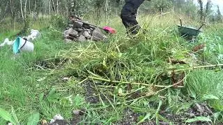 Soil-reconstruction with fire and weeds, Aug 2018