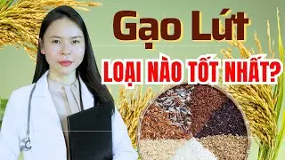 Gạo Lứt N&agrave;o Tốt Nhất? C&aacute;ch Chọn Gạo Lứt Ph&ugrave; Hợp Với Sức Khoẻ Từng Người!