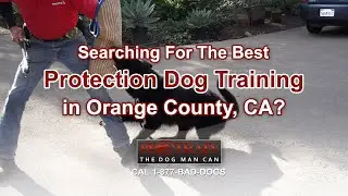 Protection Dog Training in Orange County, CA