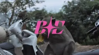 Young Leosia, bambi, Janusz Walczuk, Waima - Skippers (Bass Boosted)