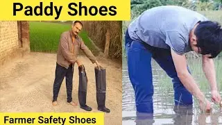 Paddy shoes | Farmer Safety Shoes | waterproof safety shoes | Agriculture safety shoes | Paddy boots