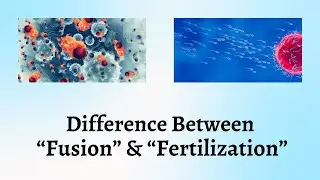 Difference Between Fusion And Fertilization | Fusion vs. Fertilization Explained Simply and Clearly
