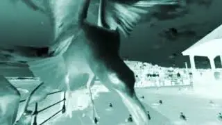 SEAGULL STOLE MY KEYS RUBEN'S MIX