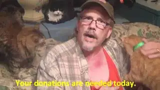 Puffy Paws Kitty Haven: Adopt a Special Needs Cat