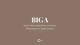 C&oacute;mo hacer PREFERMENTO BIGA f&aacute;cil y sencillo | BE BAKER 👨🏻&zwj;🍳