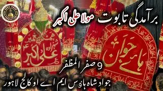 Baramdagi Taboot Mola Ali Akbar a.s | 9 Safar 2025 | Jawad Shah House M.A.O College Lahore #foryou 