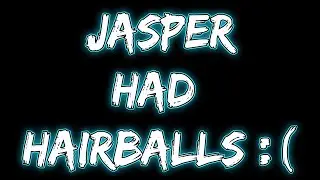 Jasper had hairballs and puked, causing DSP to interrupt his stream to do laundry (November 2, 2022)