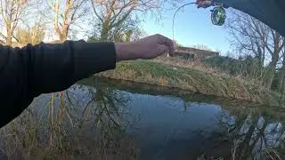 Big Brown Trout Fight / Brown Trout Fishing UK / Trout Nymph Fishing / Nymph Fishing UK