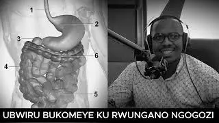 ABADAYIMONI BA MBERE BABA MU MARA YAWE // SOBANUKIRWA UBWIRU KU RWUNGANO NGOGOZI