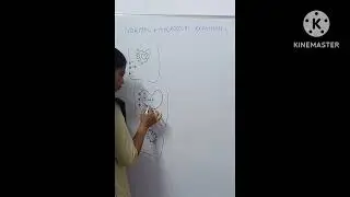 SETTING EXPANSION AND HYGROSCOPIC EXPANSION.            GYPSUM BONDED INVESTMENT MATERIAL  PART 2