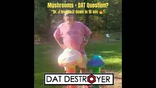 &ldquo;Mushrooms = DAT Question&rdquo; Dr  J breaks it down in 15 sec  🔥