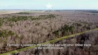 Hales Lake - Tarkenton Tract