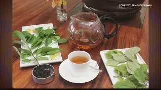 Tea Chest Hawaii