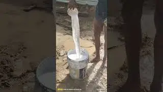 pest control chemical using foundation level p1#spbconstruction