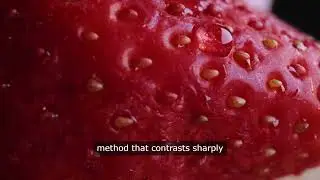 Inheritance, Variation and Evolution: Reproduction