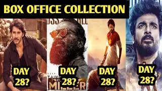 Guntur kaaram day 28 vs hanuman vs ayalaan vs captain miller box office collection