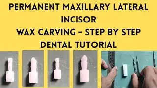 Permanent Maxillary Lateral incisor wax carving | Step by step | Dental Tutorial