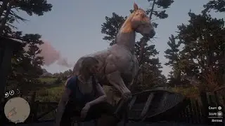 Squipmunk, the Horse Whisperer 🤠🤙✨ Actually received a belt buckle for that!