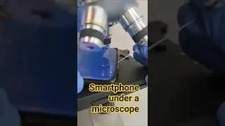 What a Smartphone Looks Like Under a Microscope