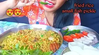 Eating chicken fried rice with small fish pickle, salad 😋||Homemade fried rice||Street Food|GDRASMR 