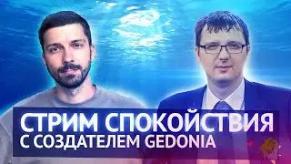 Стрим Спокойствия с основателем Gedonia. Планы, релизы, результаты