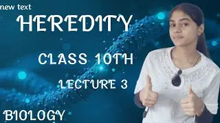 GENOTYPE AND PHENOTYPE | MENDEL AND ITS CONTRIBUTION | CLASS 10TH  | BIOLOGY 